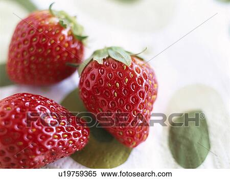 Strawberries View Large Photo Image Stock Photography - Strawberries. Fotosearch
