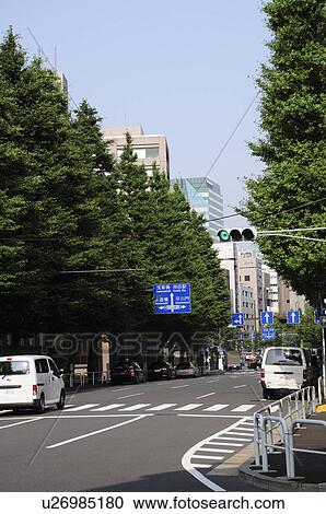 Street in Chiyoda, Japan View Large Photo Image Stock Image - Street in Chiyoda, Japan. Fotosearch