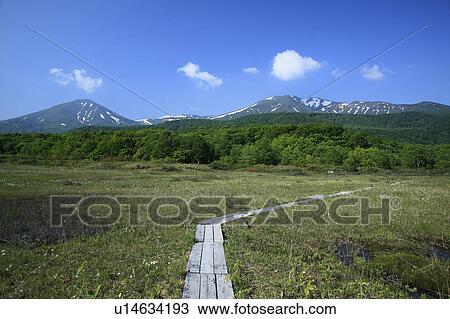 Stock Image - Tashiro marsh and footpath. Fotosearch
