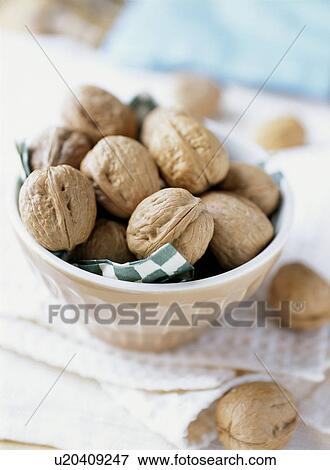 Walnuts in a bowl View Large Photo Image Stock Photo - Walnuts in a bowl. Fotosearch