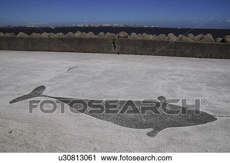 Whale Illustration on Cement in Wakasu Kaihin Park View Large Photo Image Stock Image - Whale Illustration on Cement in Wakasu Kaihin Park. Fotosearch