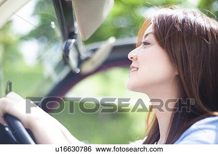 Young Woman Driving Covertible View Large Photo Image Stock Photograph - Young Woman Driving Covertible. Fotosearch