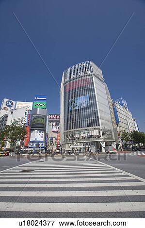 Zebra Crossing at Shibuya Station View Large Photo Image Stock Photo - Zebra Crossing at Shibuya Station. Fotosearch