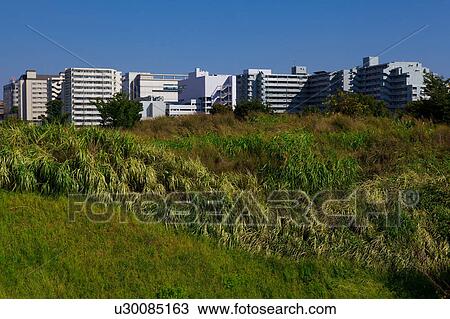 Apartment Blocks and Tall Grass View Large Photo Image Stock Image - Apartment Blocks and Tall Grass. Fotosearch