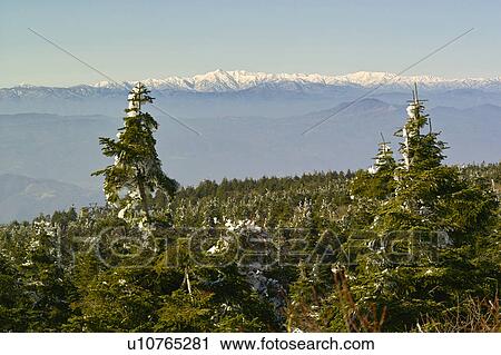 Stock Image - Asahi mountain range from Mt. Zao, Yamagata Prefecture, Japan. Fotosearch