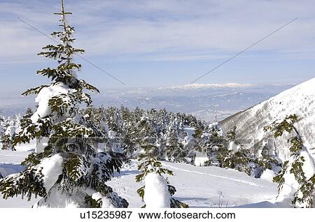 Asahi mountain range from Mt. Zao, Yamagata Prefecture, Japan View Large Photo Image Stock Photo - Asahi mountain range from Mt. Zao, Yamagata Prefecture, Japan. Fotosearch