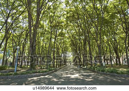 Central Park, Nagoya city, Aichi Prefecture, Japan View Large Photo Image Picture - Central Park, Nagoya city, Aichi Prefecture, Japan. Fotosearch