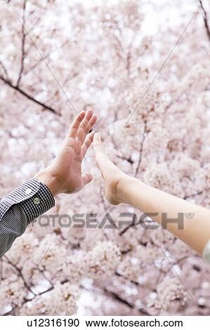 Stock Image - Couple hi-fiving. Fotosearch