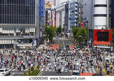 Crowded Shibya Station Crossing View Large Photo Image Stock Image - Crowded Shibya Station Crossing. Fotosearch