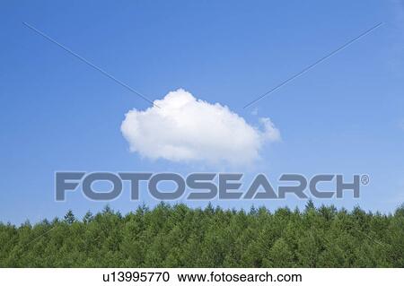Cumulus Clouds View Large Photo Image Stock Image - Cumulus Clouds. Fotosearch