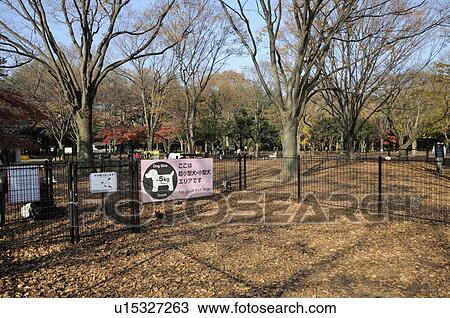 Stock Image - Dog Park in Yoyogi park. Fotosearch