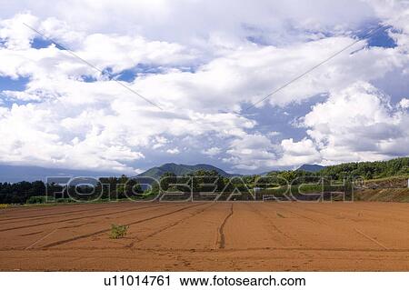 Field View Large Photo Image Stock Image - Field. Fotosearch