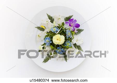 Picture - Flower Arrangement on Plate. Fotosearch