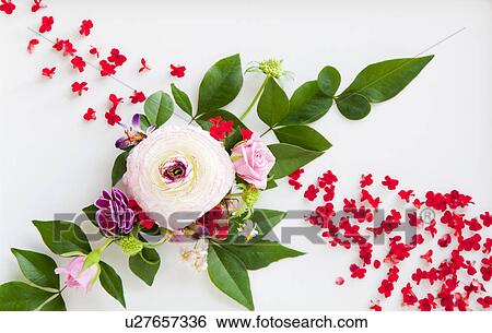 Flower Arrangement View Large Photo Image Stock Photograph - Flower Arrangement. Fotosearch