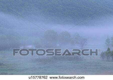 Foggy morning, Hokkaido Prefecture, Japan View Large Photo Image Stock Image - Foggy morning, Hokkaido Prefecture, Japan. Fotosearch
