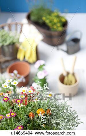 Picture - Gardening image. Fotosearch
