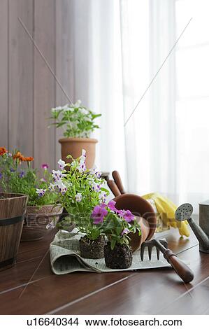 Picture - Gardening image. Fotosearch