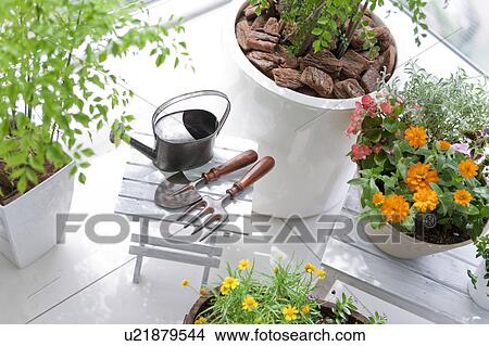 Picture - Gardening image. Fotosearch