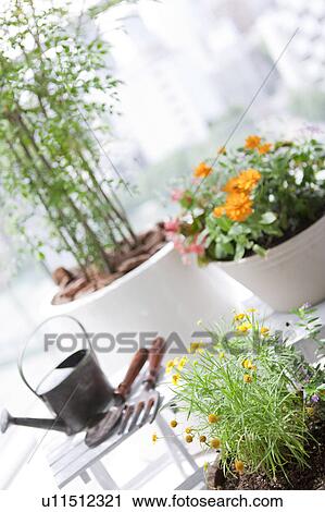 Stock Image - Gardening image. Fotosearch