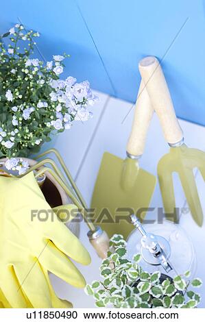 Stock Image - Gardening image. Fotosearch