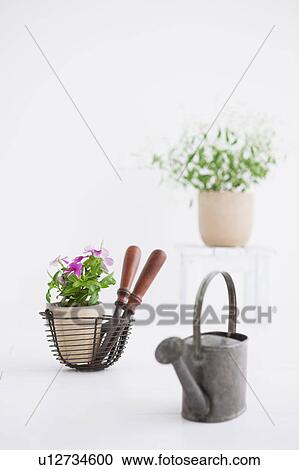 Gardening image View Large Photo Image Stock Image - Gardening image. Fotosearch
