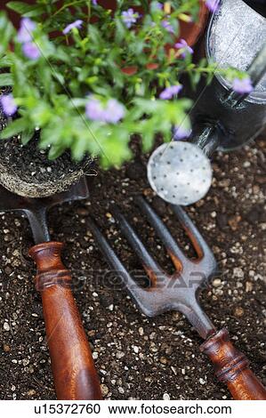Gardening image View Large Photo Image Stock Image - Gardening image. Fotosearch