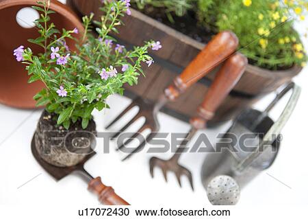 Gardening image View Large Photo Image Stock Image - Gardening image. Fotosearch