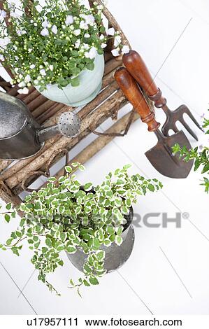 Stock Image - Gardening image. Fotosearch
