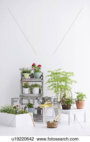 Stock Image - Gardening image. Fotosearch