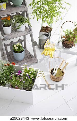 Gardening image View Large Photo Image Stock Image - Gardening image. Fotosearch
