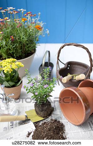 Gardening image View Large Photo Image Stock Image - Gardening image. Fotosearch