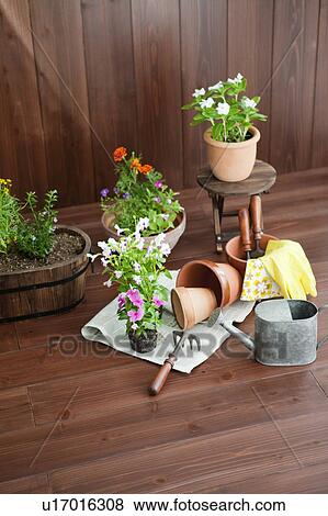 Stock Photo - Gardening image. Fotosearch