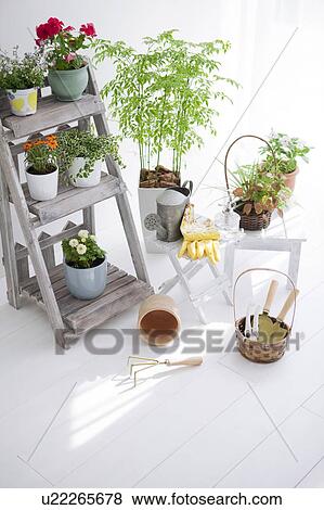 Stock Photo - Gardening image. Fotosearch