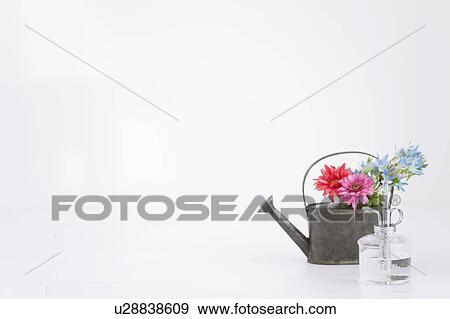 Gardening image View Large Photo Image Stock Photo - Gardening image. Fotosearch