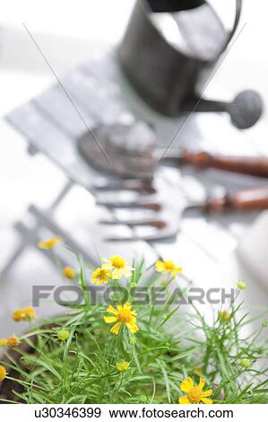 Gardening image View Large Photo Image Stock Photo - Gardening image. Fotosearch