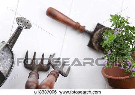 Gardening image View Large Photo Image Stock Photograph - Gardening image. Fotosearch