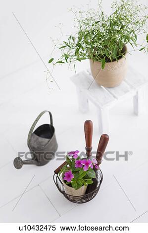 Stock Photography - Gardening image. Fotosearch