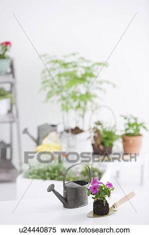 Stock Photography - Gardening image. Fotosearch