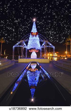 Illuminated Christmas tree, Osaka Prefecture, Japan View Large Photo Image Stock Image - Illuminated Christmas tree, Osaka Prefecture, Japan. Fotosearch