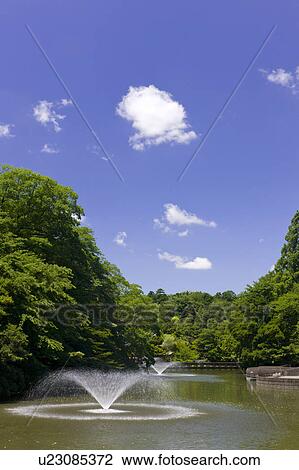 Stock Image - Inokashira Park. Fotosearch