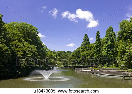 Inokashira Park View Large Photo Image Stock Photography - Inokashira Park. Fotosearch