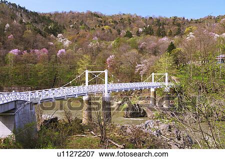 Kamui bridge and Ishikari river, Hokkaido Prefecture, Japan View Large Photo Image Stock Photo - Kamui bridge and Ishikari river, Hokkaido Prefecture, Japan. Fotosearch