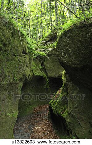 Koke no doumon (Moss canyon), Hokkaido Prefecture, Japan View Large Photo Image Stock Image - Koke no doumon (Moss canyon), Hokkaido Prefecture, Japan. Fotosearch