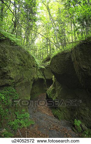 Koke no doumon (Moss canyon), Hokkaido Prefecture, Japan View Large Photo Image Stock Image - Koke no doumon (Moss canyon), Hokkaido Prefecture, Japan. Fotosearch