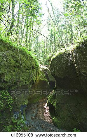 Stock Photo - Koke no doumon (Moss canyon), Hokkaido Prefecture, Japan. Fotosearch