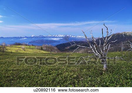 Lake Kussharo in Spring, Hokkaido Prefecture, Japan View Large Photo Image Stock Photograph - Lake Kussharo in Spring, Hokkaido Prefecture, Japan. Fotosearch