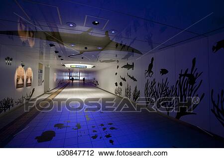 Lucent Avenue, Nagoya city, Aichi Prefecture, Japan View Large Photo Image Stock Image - Lucent Avenue, Nagoya city, Aichi Prefecture, Japan. Fotosearch