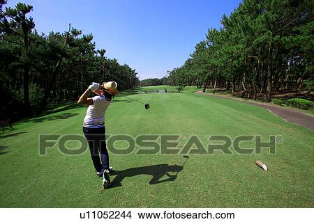 Man playing golf, Miyazaki Prefecture, Kyushu, Japan View Large Photo Image Picture - Man playing golf, Miyazaki Prefecture, Kyushu, Japan. Fotosearch
