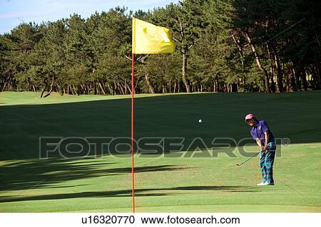 Man playing golf, Miyazaki Prefecture, Kyushu, Japan View Large Photo Image Stock Image - Man playing golf, Miyazaki Prefecture, Kyushu, Japan. Fotosearch