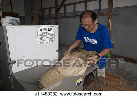 Stock Image - Man Pouring Rice Into Mill. Fotosearch